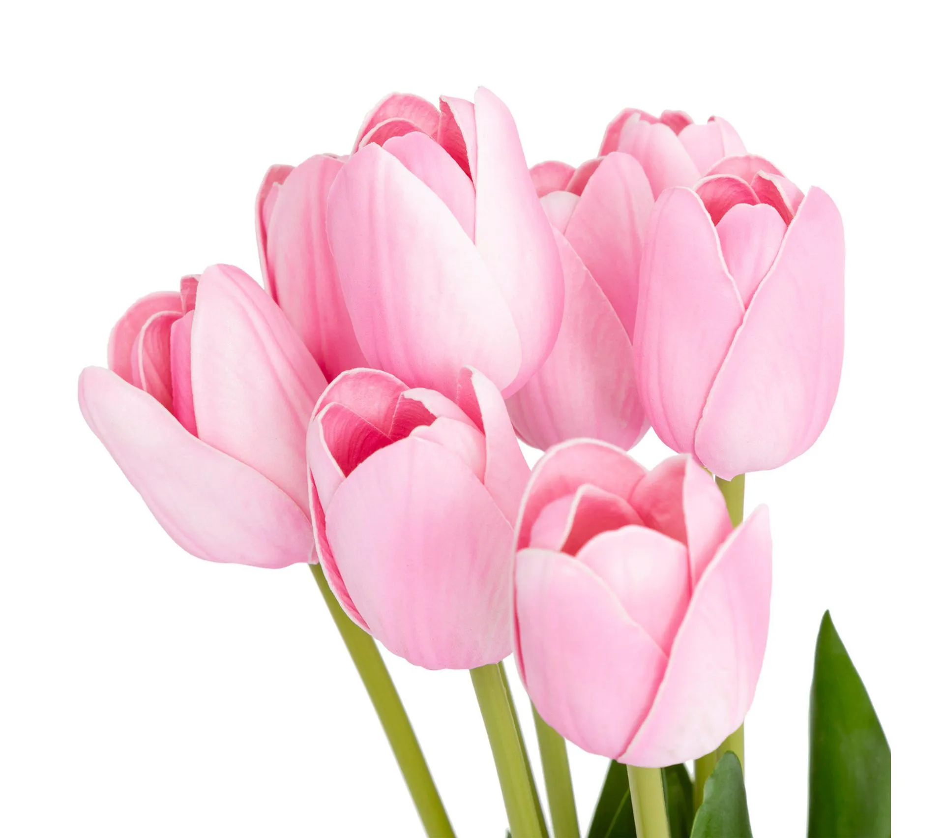 Bouquet Artificiel De 10 Tulipes Roses H 48 Cm