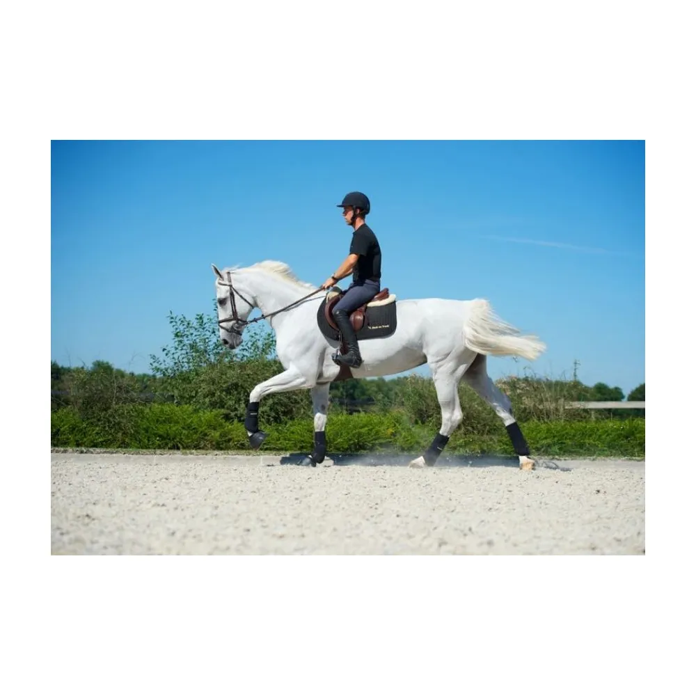 Guêtres Back on Track postérieures - TEXTILES INTELLIGENTS - PADD
