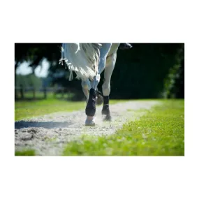 Guêtres Back on Track postérieures - TEXTILES INTELLIGENTS - PADD