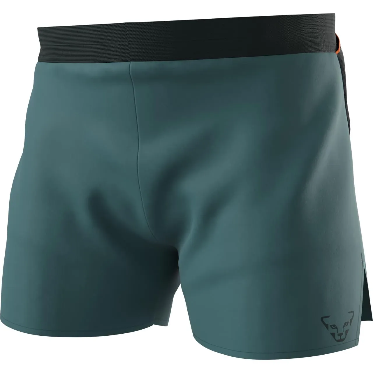 Pantalon de Sport Dynafit Homme Sky Shorts Mallard Blue